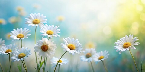 Fototapeta premium Soft brushstrokes minimalist daisies still life background