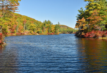 autumn after noon at paradise pond