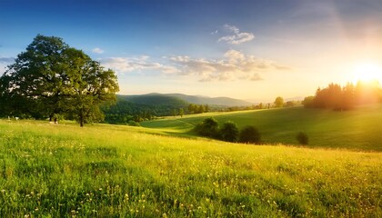 Fototapeta premium A serene summer meadow with golden sunlight illuminating rolling hills and scattered trees in a tranquil landscape. Generative AI