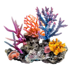 Coral reef isolated on transparent or white background