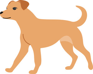 Dog Illustration