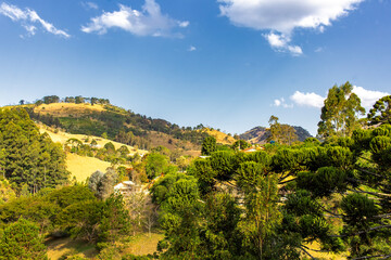 Naklejka premium Gonçalves IMG_1800