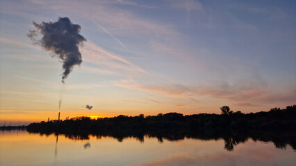Plant on the river at sunset