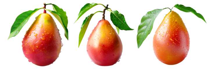 Ripe mango with green leaves and water drops isolated on white transparent background, colorful, organic, exotic, and delicious.