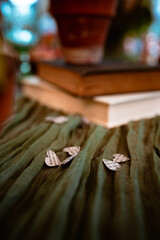Heart shaped book confetti and books