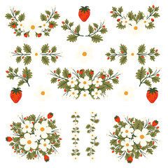 Isolated strawberry flowers wreath with branch and leaves. Vector bouquet and decorative object. Blooming floral material for graphic design