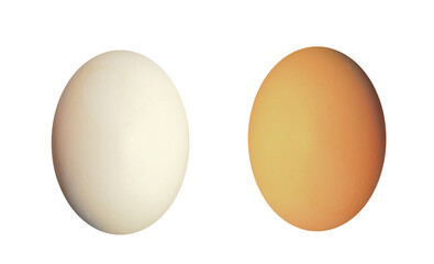 White and orange chicken eggs. On isolated transparent background.