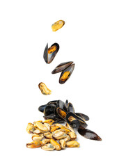 Mussels Pile on Black Plate Isolated, Open Shellfish, Seafood, Mussels Meat, Cooked Clams on White