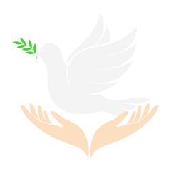 Fototapeta premium Praying hands and dove of peace with branch