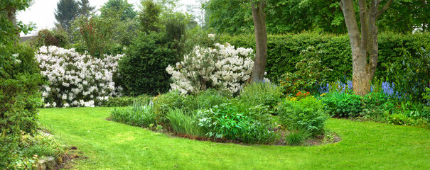 Nature, garden and design with plant in backyard for blossom, beauty and bloom for landscaping. Spring aesthetic, natural background and grass of leaves, bush and floral for trees, botany and buds
