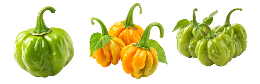 Green Scotch bonnet Chili Pepper isolated on a white background.