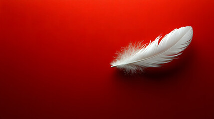 Obraz premium A graceful white feather gently poised in the air, framed by a solid red background, radiating warmth and a sense of playful joy that elevates the scene.