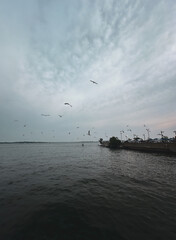Birds flying in the sky in City Island, The Bronx, New York City