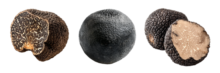 Fresh black truffles isolated on white background, great for culinary and gourmet themes.