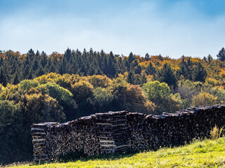 Brennholzlager am Waldrand © focus finder