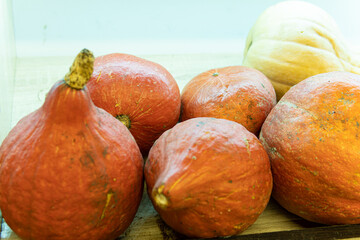 decoration farm market halloween harvest october agriculture orange holiday food