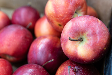 food green fresh apple organic market diet fruit produce raw agriculture healthy red