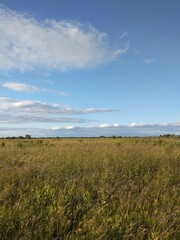 Fototapeta premium smfield, sky, nature, clouds, summer, autumnart