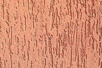 texture of an orange wall decorated with a bark beetle pattern
