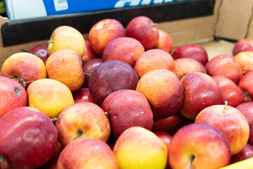 food apple fruit fresh organic raw diet market produce red healthy green agriculture