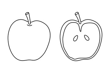 Simple line drawing of an apple and a cross-section showcasing its interior features