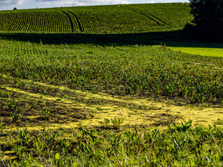 Feuchter Acker nach vielen Regenfällen