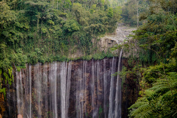 Obraz premium waterfall in the forest