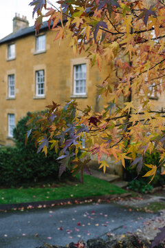 Autumnal English Village with Limestone Cottages and Autumn Trees - Quintessential Filming Location for Father Brown in Blockley, Gloucestershire in The Cotswolds