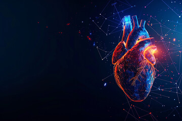 A heart is shown in a blue and red color scheme