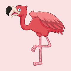 Flamingo bird isolated on white background