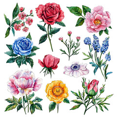 A vibrant collection of hand-painted flowers showcasing various colors and species, perfect for floral designs and illustrations.