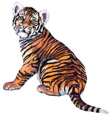 Hand-Painted Watercolor Tiger PNG - High Resolution, Transparent Background, Wildlife Illustration for Digital & Print Designs