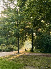 path in the park in Berlin 