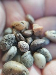 Small stones on the palm close-up