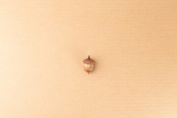 single whole acorn top view on carton