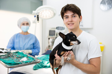 Positive caring young owner of miniature pinscher bringing sick pet with bandaged throat to...