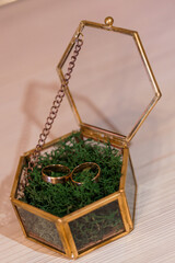 Elegant Gold Wedding Rings Displayed in a Geometric Glass Box with Green Moss