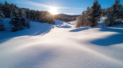 A picturesque snowy valley bathed in sunlight, featuring smooth snowdrifts surrounded by snow-covered trees and distant hills under a clear blue sky.