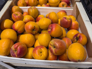 Close-up of ripe Lady Cot apricots in wooden crates, prepared for sale. Lady Cot is one of the most...