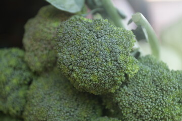 broccoli close up