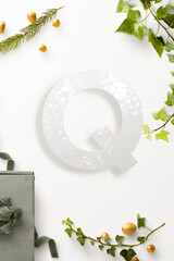 alfabeto lettera Q con coni di pino, su sfondo bianco