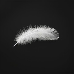 Obraz premium A single white feather against a black background. AI.