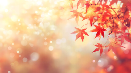 Fototapeta premium web banner design for autumn season and end year activity with red and yellow maple leaves with soft focus light and bokeh background