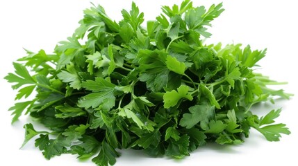 Obraz premium Fresh Parsley