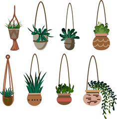 Stylish Hanging Plant Pots with Succulents