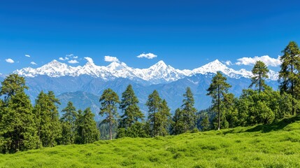 Stunning mountain range with snow-capped peaks and lush green forest under a clear blue sky.