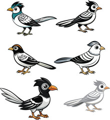 wren vector illustration 