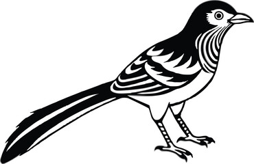 Fototapeta premium wren vector illustration 