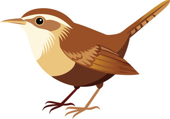wren vector illustration 