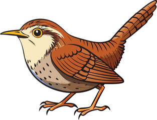 wren vector illustration 